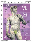 David Front Pattern