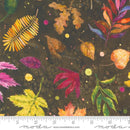 Floribunda 39804-18