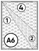 Statue of Liberty Quilt Kit