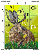 Jackalope Quilt Kit