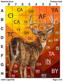 White Tail Buck Pattern