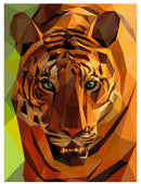 Legit Tiger Pattern