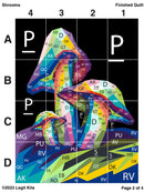 Shrooms Quilt Kit