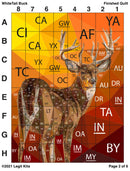 White Tail Buck Pattern