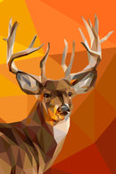 White Tail Buck Pattern