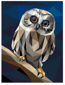 Little Hooter Quilt Kit