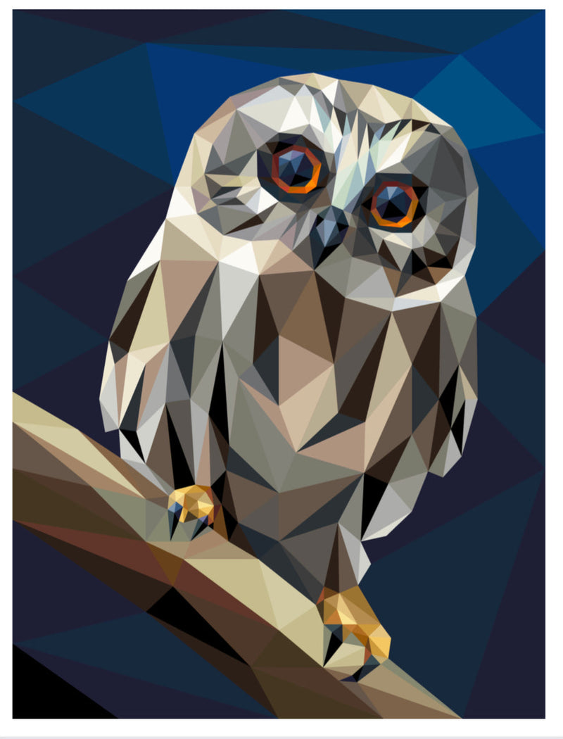 Little Hooter Quilt Kit