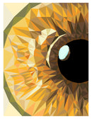 Hazel Iris Quilt Kit