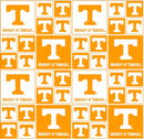 Tennessee Volunteers - Box Allover