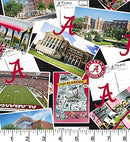 Alabama Crimson Tide - Scenic Postcard