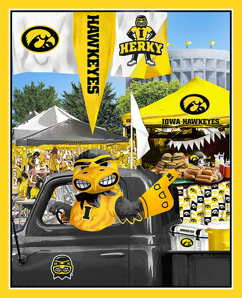 Iowa Hawkeyes - Tailgate Panel