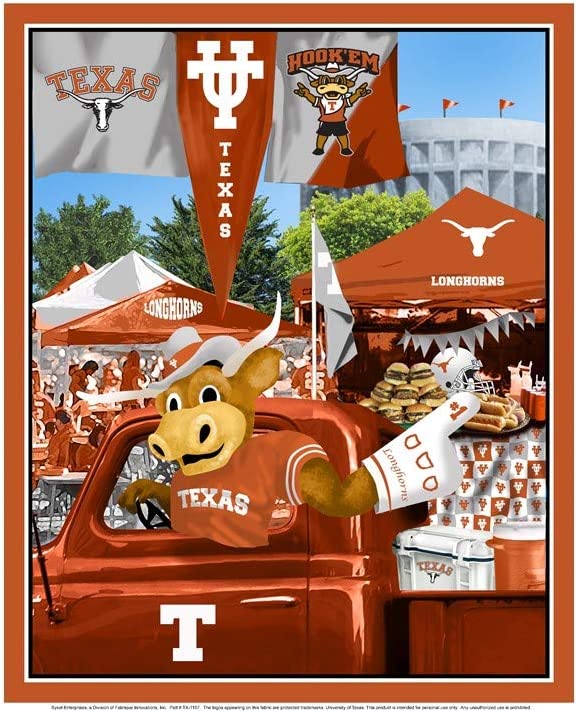 Texas Longhorns - Tailgate Panel